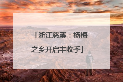 浙江慈溪：杨梅之乡开启丰收季