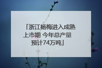 浙江杨梅进入成熟上市期 今年总产量预计74万吨