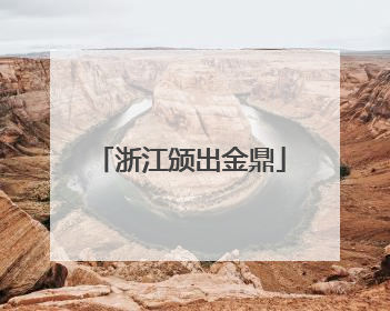 浙江颁出金鼎