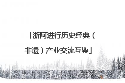 浙阿进行历史经典（非遗）产业交流互鉴