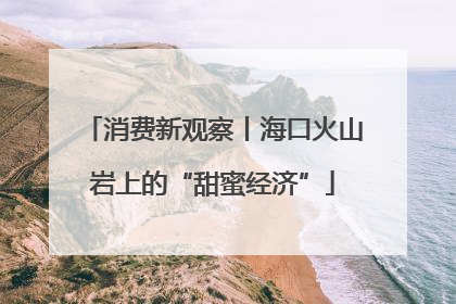 消费新观察丨海口火山岩上的“甜蜜经济”