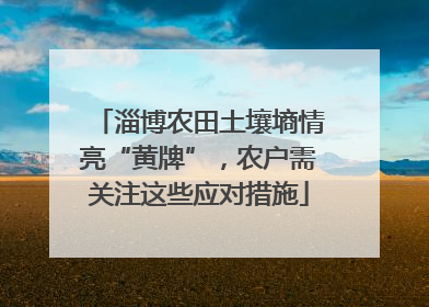 淄博农田土壤墒情亮“黄牌”，农户需关注这些应对措施