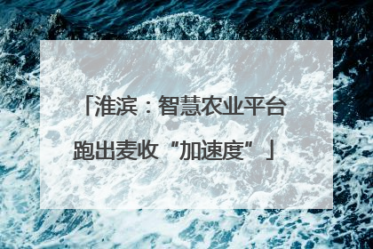 淮滨：智慧农业平台跑出麦收“加速度”