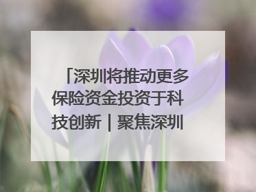 深圳将推动更多保险资金投资于科技创新｜聚焦深圳系列发布会