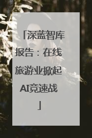 深蓝智库报告：在线旅游业掀起AI竞速战