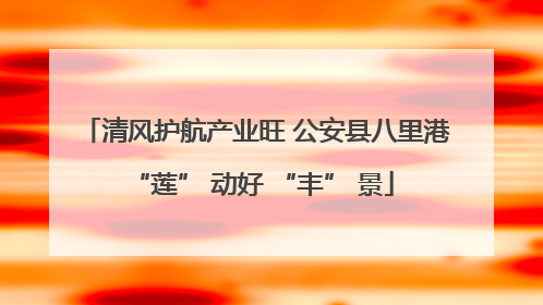 清风护航产业旺 公安县八里港 “莲” 动好 “丰” 景