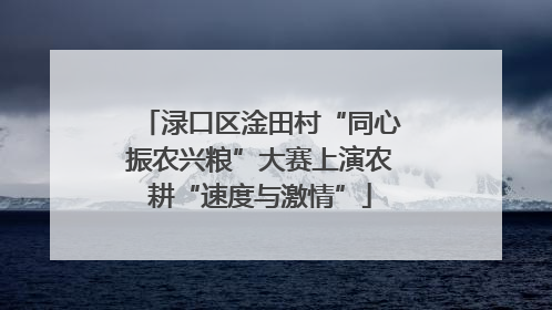 渌口区淦田村“同心振农兴粮”大赛上演农耕“速度与激情”