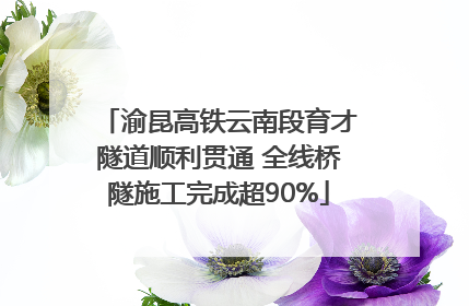 渝昆高铁云南段育才隧道顺利贯通 全线桥隧施工完成超90%