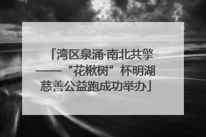 湾区泉涌·南北共擎——“花楸树”杯明湖慈善公益跑成功举办