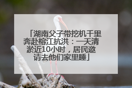 湖南父子带挖机千里奔赴榕江抗洪：一天清淤近10小时，居民邀请去他们家里睡