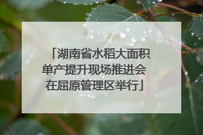 湖南省水稻大面积单产提升现场推进会在屈原管理区举行