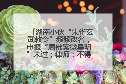 湖南小伙“朱雀玄武敕令”频频改名，申报“周佛紫微星明”未过；律师：不得违背公序良俗