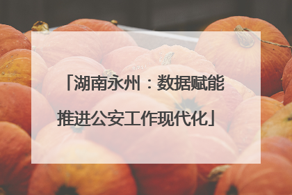 湖南永州：数据赋能推进公安工作现代化