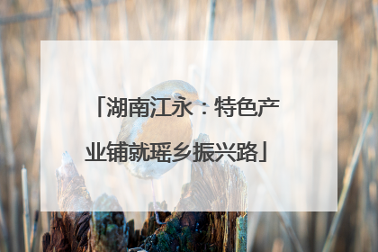 湖南江永：特色产业铺就瑶乡振兴路
