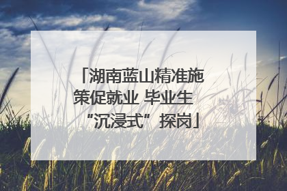 湖南蓝山精准施策促就业 毕业生“沉浸式”探岗