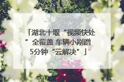 湖北十堰“视频快处”全覆盖 车辆小剐蹭5分钟“云解决”