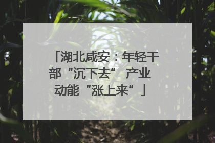 湖北咸安：年轻干部“沉下去” 产业动能“涨上来”