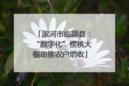 漯河市临颍县：“数字化”樱桃大棚助推农户增收