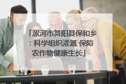 漯河市舞阳县保和乡：科学组织灌溉 保障农作物健康生长