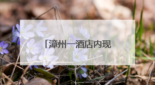漳州一酒店内现一条活鳄鱼，警民联手快速处置