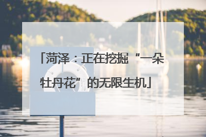 菏泽：正在挖掘“一朵牡丹花”的无限生机