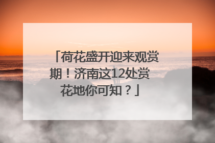 荷花盛开迎来观赏期！济南这12处赏花地你可知？