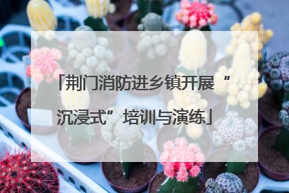 荆门消防进乡镇开展“沉浸式”培训与演练