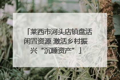 莱西市河头店镇盘活闲置资源 激活乡村振兴“沉睡资产”