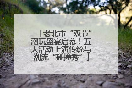 老北市“双节”潮玩盛宴启幕！五大活动上演传统与潮流“碰撞秀”