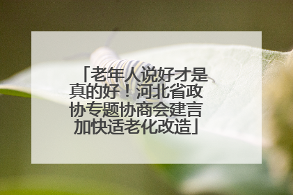 老年人说好才是真的好！河北省政协专题协商会建言加快适老化改造