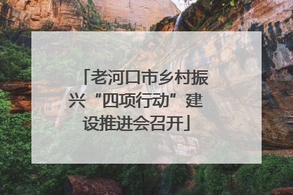 老河口市乡村振兴“四项行动”建设推进会召开