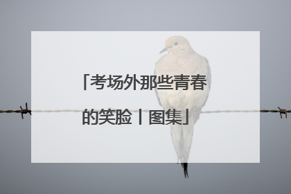 考场外那些青春的笑脸丨图集