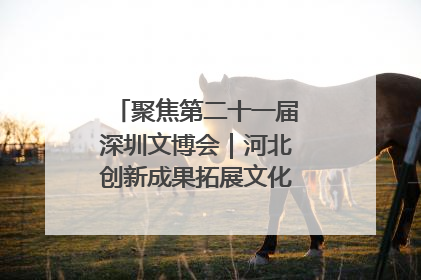 聚焦第二十一届深圳文博会｜河北创新成果拓展文化产业“朋友圈”