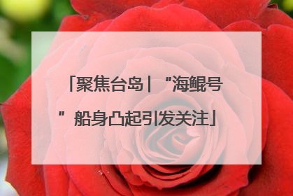 聚焦台岛│“海鲲号”船身凸起引发关注