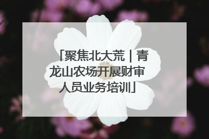 聚焦北大荒｜青龙山农场开展财审人员业务培训