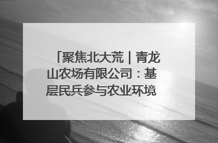 聚焦北大荒｜青龙山农场有限公司：基层民兵参与农业环境综合治理显效