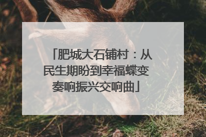 肥城大石铺村：从民生期盼到幸福蝶变奏响振兴交响曲