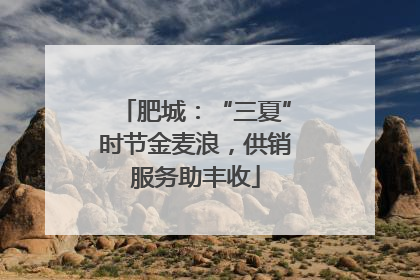 肥城：“三夏”时节金麦浪，供销服务助丰收