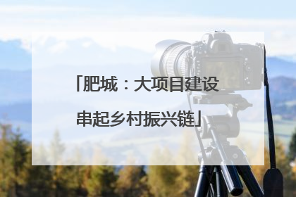 肥城：大项目建设串起乡村振兴链