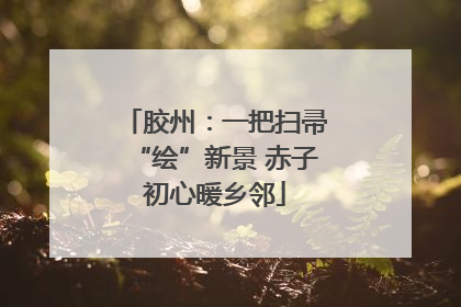 胶州：一把扫帚“绘”新景 赤子初心暖乡邻