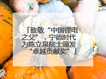 致敬“中国锂电之父”，宁德时代为陈立泉院士颁发“卓越贡献奖”