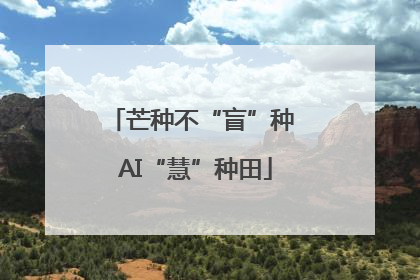 芒种不“盲”种 AI“慧”种田