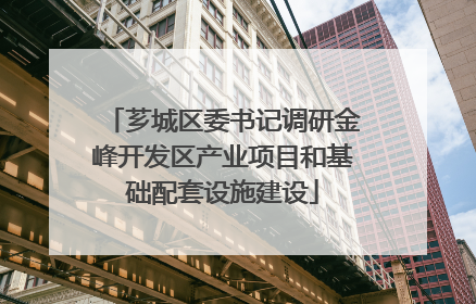 芗城区委书记调研金峰开发区产业项目和基础配套设施建设