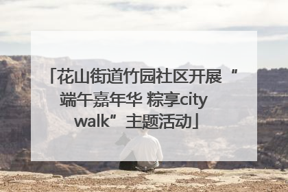 花山街道竹园社区开展“端午嘉年华 粽享city walk”主题活动