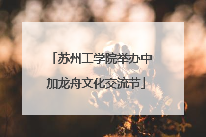 苏州工学院举办中加龙舟文化交流节