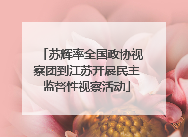 苏辉率全国政协视察团到江苏开展民主监督性视察活动