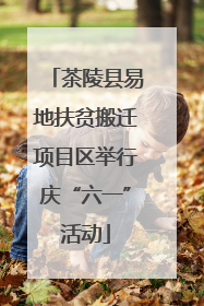 茶陵县易地扶贫搬迁项目区举行庆“六一”活动
