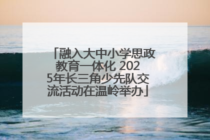 融入大中小学思政教育一体化 2025年长三角少先队交流活动在温岭举办