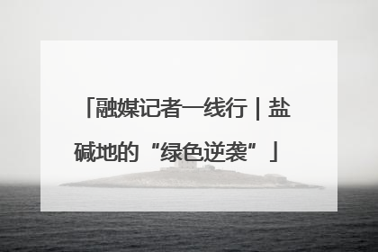 融媒记者一线行｜盐碱地的“绿色逆袭”