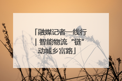 融媒记者一线行｜智能物流“链”动城乡富路